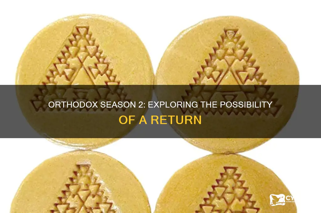 will there be a season 2 of orthodox