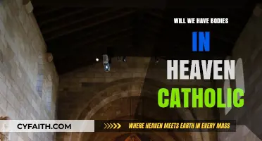 Catholic Perspective: Will We Have Physical Bodies in Heaven?