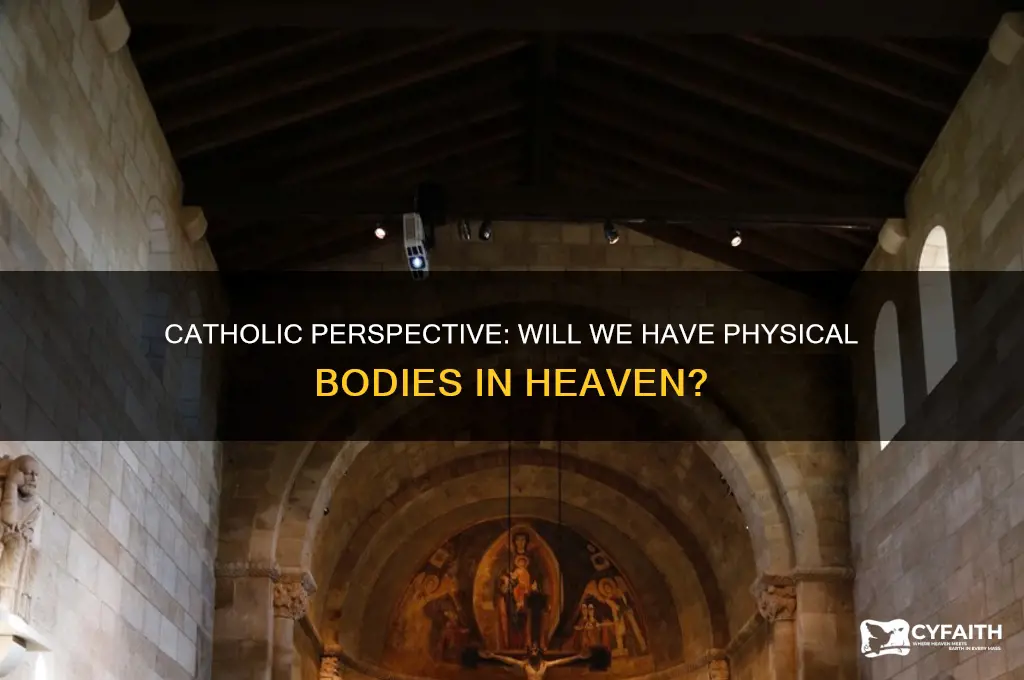 will we have bodies in heaven catholic