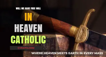 Free Will in Heaven: Catholic Perspectives on Eternal Choice and Grace