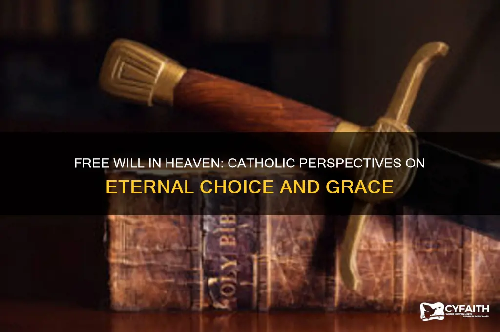 will we have free will in heaven catholic