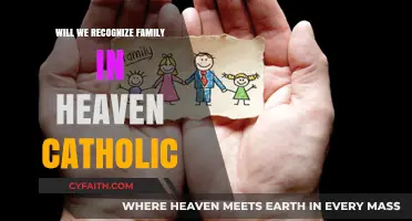 Recognizing Family in Heaven: A Catholic Perspective on Eternal Reunion