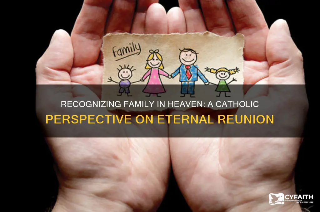 will we recognize family in heaven catholic