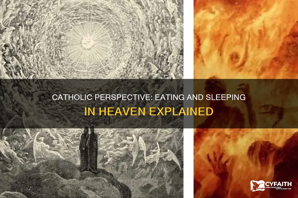 will we sleep and eat in heaven catholic